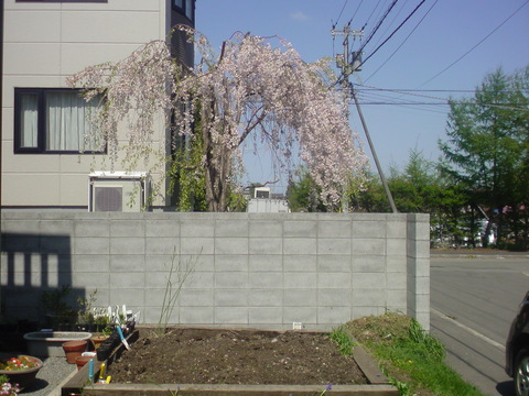e0255945_215043.jpg