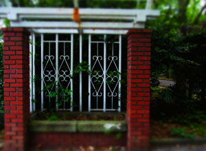 5月、植物園。_d0227246_11581619.jpg