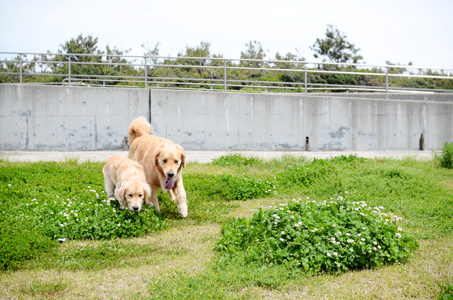 わくわくどきどきしても大丈夫♪_f0044853_14363.jpg