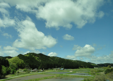 e0109554_821165.jpg