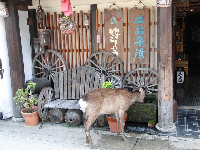 広島 【2012/5/8～11】_b0182655_22533939.jpg