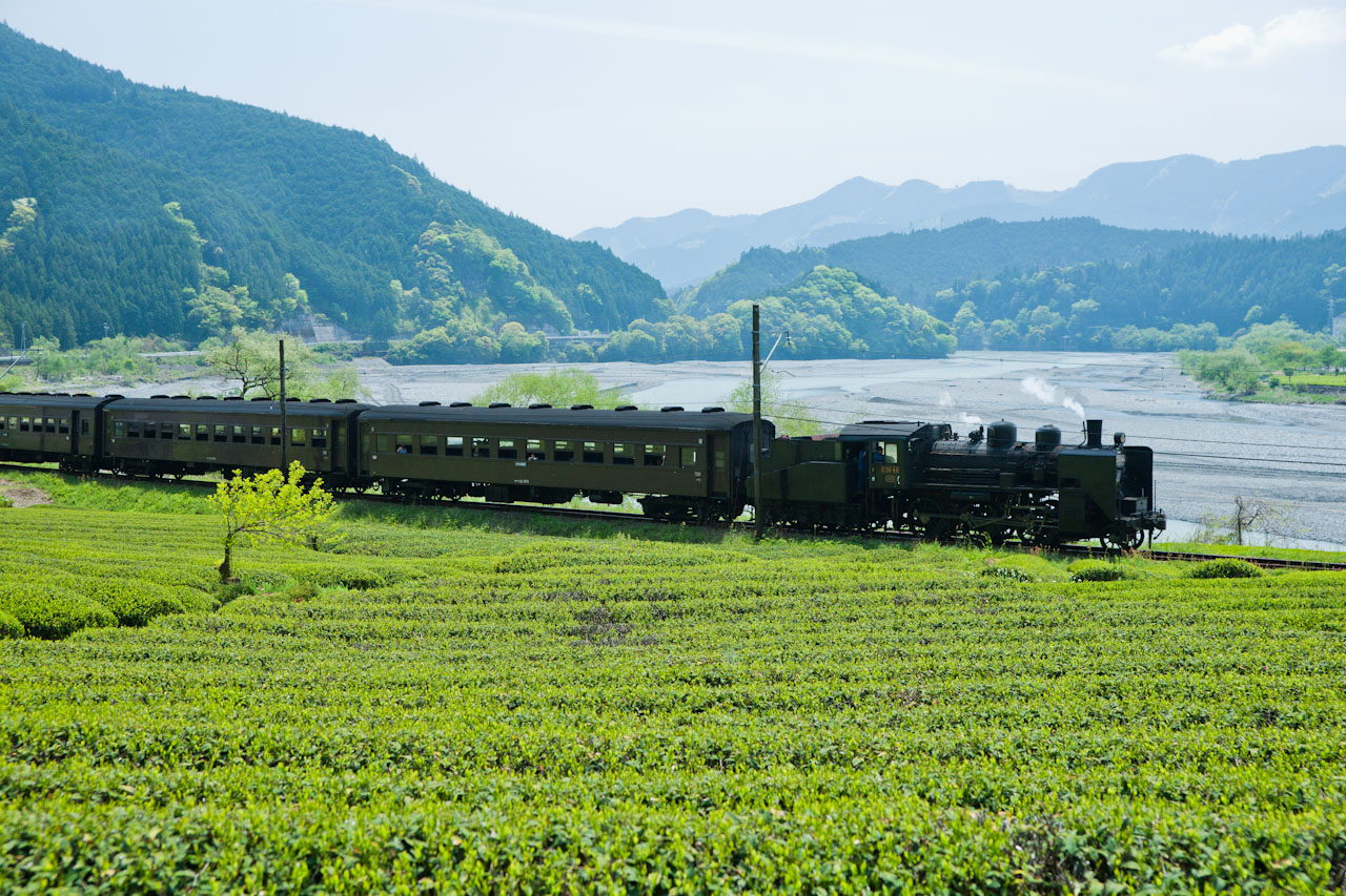 お茶の国を駆け抜けて_a0212158_19313534.jpg