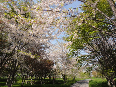 b0122262_21234121.jpg