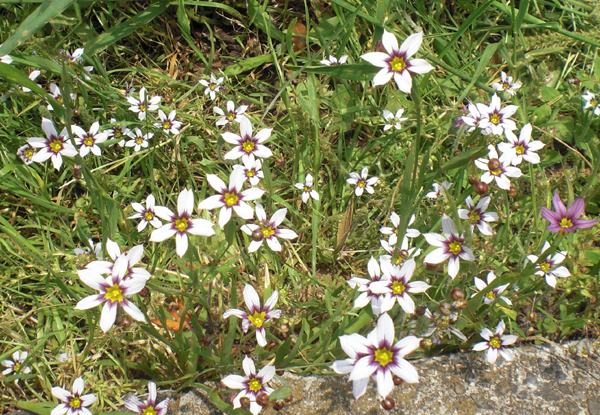 a0053063_2310310.jpg