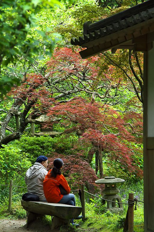 鎌倉　浄智寺(５月１０日）_c0057265_0533323.jpg