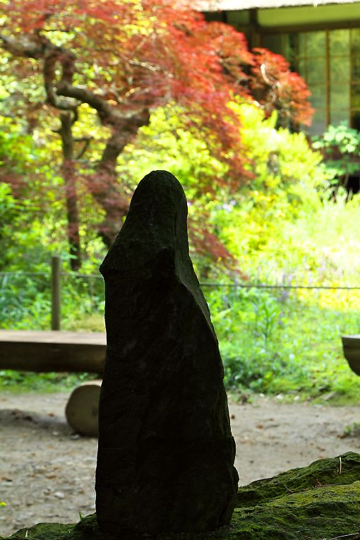 鎌倉　浄智寺(５月１０日）_c0057265_0535377.jpg