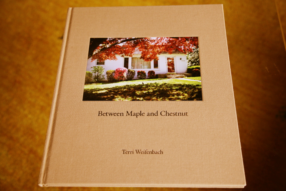 Terri Weifenbach 「Between Maple and Chestnut」_c0016177_20255942.jpg