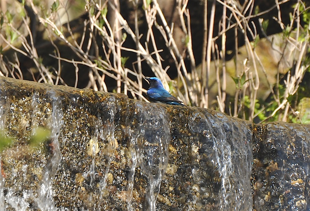 e0015377_20471290.jpg