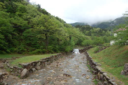 マキノ高原☆キャンプ～2012春～_b0218981_20461326.jpg