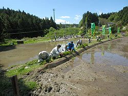 田植え体験(月光原小・西根小)_d0247484_1113795.jpg