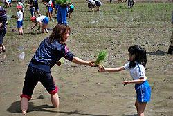 田植え体験(月光原小・西根小)_d0247484_1115697.jpg