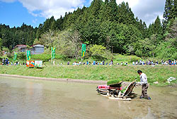 田植え体験(月光原小・西根小)_d0247484_1118672.jpg