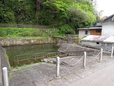 e0100086_22989.jpg
