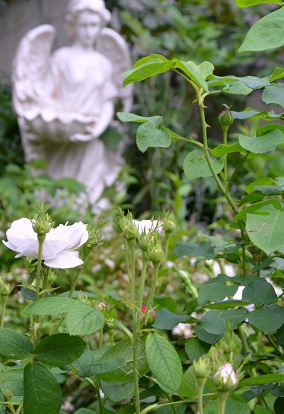 d0099791_23305917.jpg
