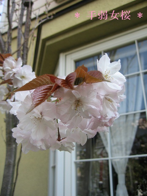 c0087094_215054.jpg
