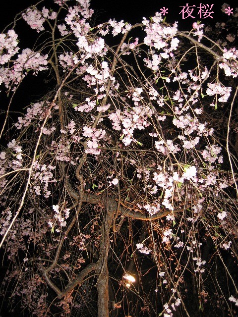 c0087094_2215879.jpg