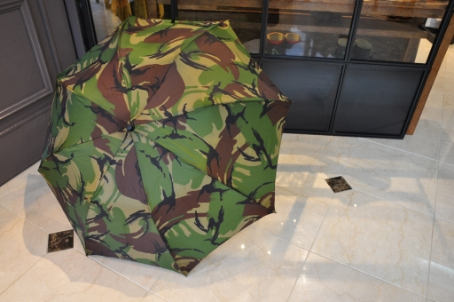 アメニモマケズ・・・AIGLE_e0127399_18512249.jpg