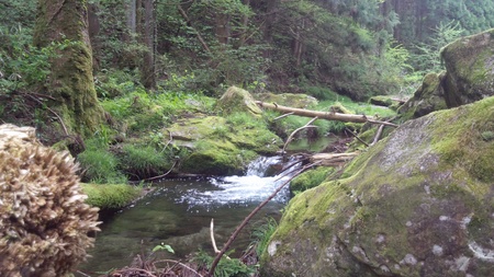 e0127602_2324643.jpg