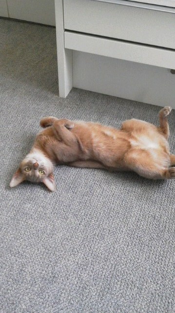 少し休憩!_b0104005_179156.jpg