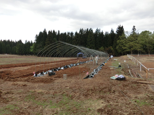 新潟GW　３日目_a0080406_9494078.jpg