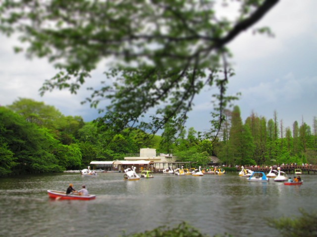 f0039907_10515786.jpg