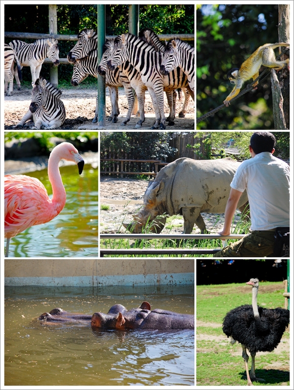 5月5日：東武動物公園へ_b0150811_1145231.jpg