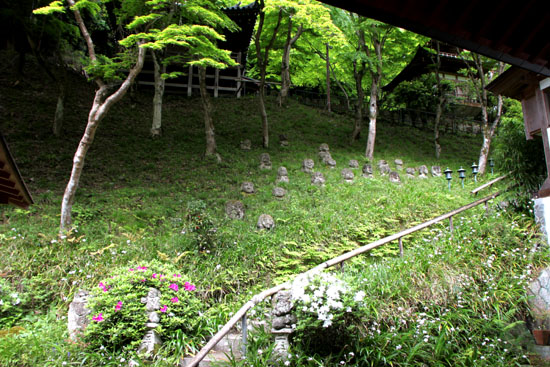 愛宕寺(おたぎでら) 五百羅漢_e0048413_22144164.jpg