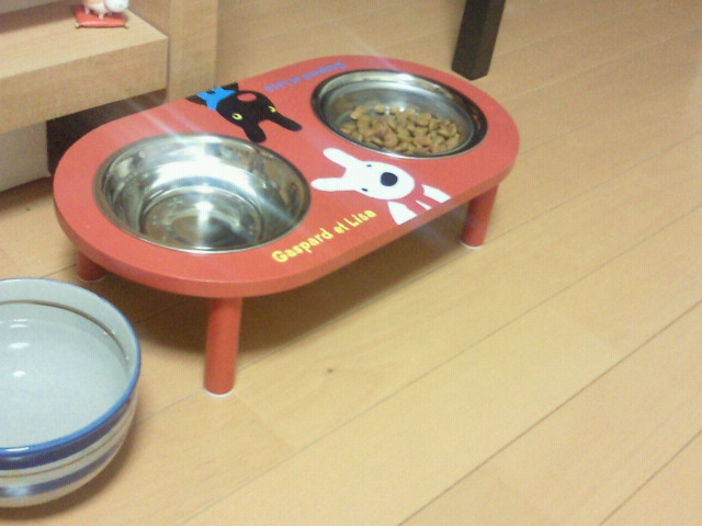 本日はチャーリーズクラブに出演します。_f0178313_2502120.jpg