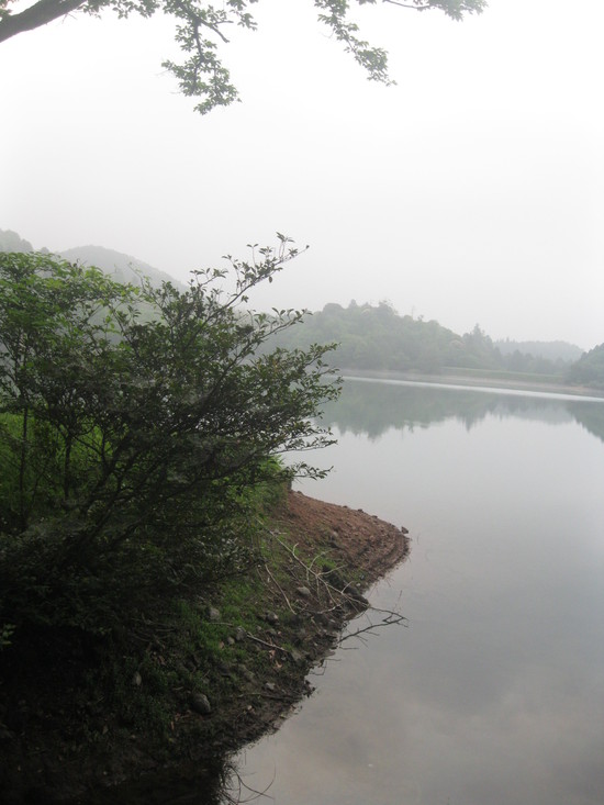 「打ち込み式井戸掘り」で☆_a0125419_10155273.jpg