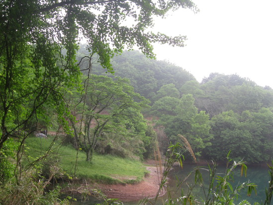 「打ち込み式井戸掘り」で☆_a0125419_101619100.jpg