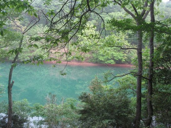 「打ち込み式井戸掘り」で☆_a0125419_10244355.jpg