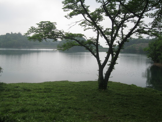 「打ち込み式井戸掘り」で☆_a0125419_10273491.jpg