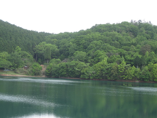 真緑な森で☆_a0125419_10591716.jpg