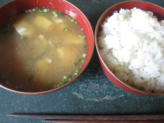 真緑な森で☆_a0125419_1122255.jpg