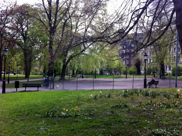 e0250023_87536.jpg