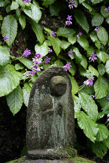 鎌倉散歩　#22 －初夏の東慶寺（いわたばこ）－_b0169330_7374090.jpg