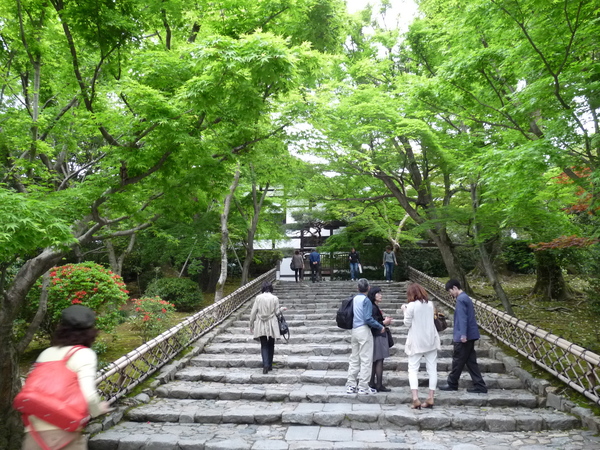 新緑の龍安寺_d0242635_10124050.jpg