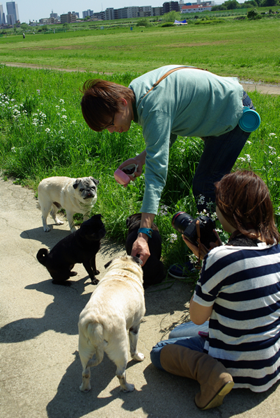 だいこんの花とBBQ_e0246738_03687.jpg