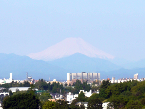 d0110641_17522246.jpg