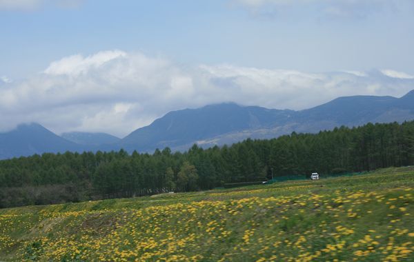 e0082045_10221349.jpg