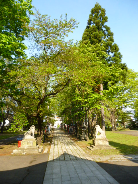 b0238249_1237466.jpg