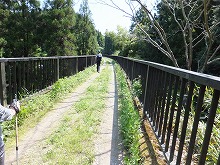 d0048350_19151592.jpg