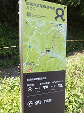 d0048350_19154342.jpg