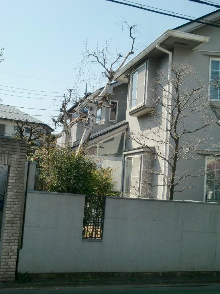 塗装工事が佳境に(東京都調布市)_e0207151_19394270.jpg