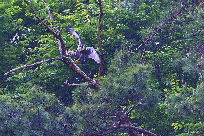 c0124055_2061080.jpg