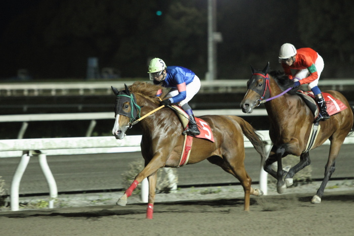 2012年5月13日（日） 高知競馬 10R 土佐小夏特別 C1-1選抜馬_a0077663_7342886.jpg