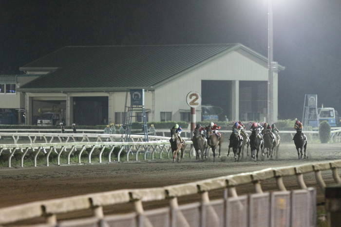 2012年5月13日（日） 高知競馬 10R 土佐小夏特別 C1-1選抜馬_a0077663_734475.jpg