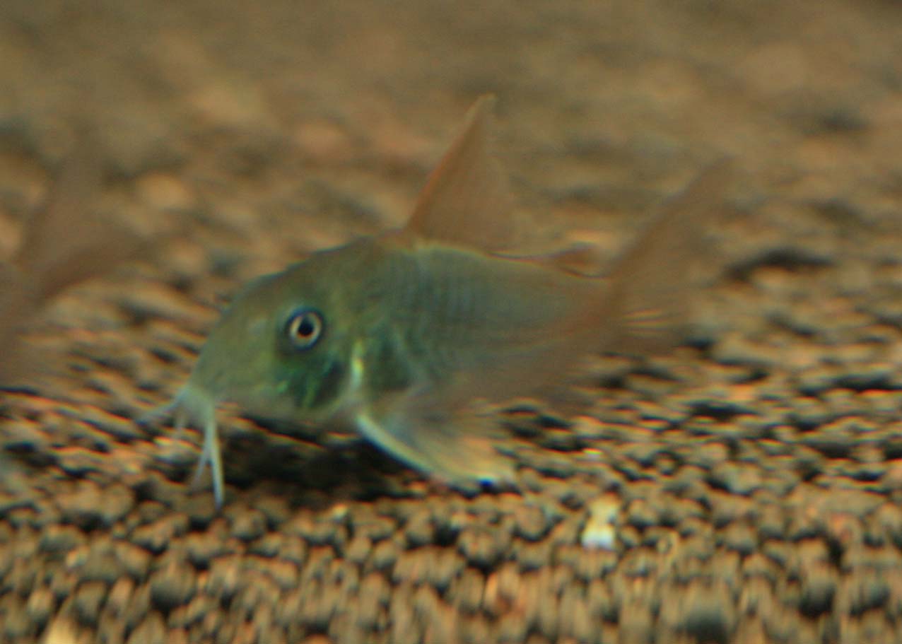 a0162263_20572654.jpg