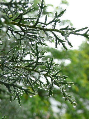 雨のお出掛け_e0208163_165884.jpg