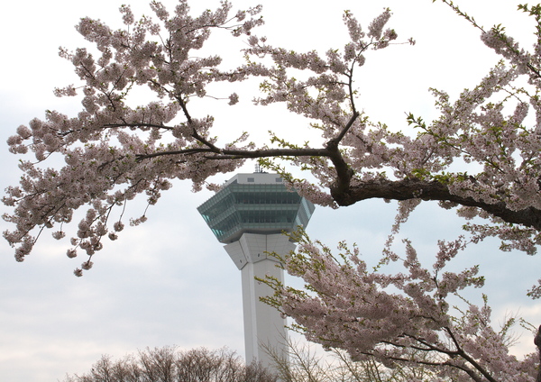 桜三昧！！　　道南の旅　一日目　～～～（＾＾）_e0213873_20172029.jpg